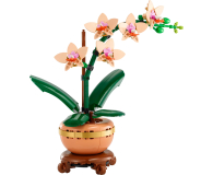 LEGO Botanicals 10343 Mała orchidea - 1283645 - zdjęcie 3